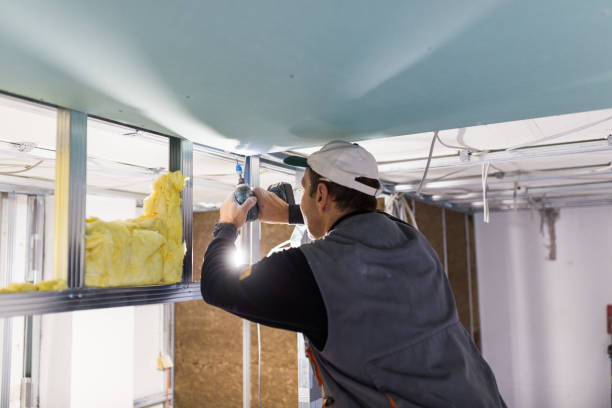 Best Cellulose Insulation in South Valley, NM