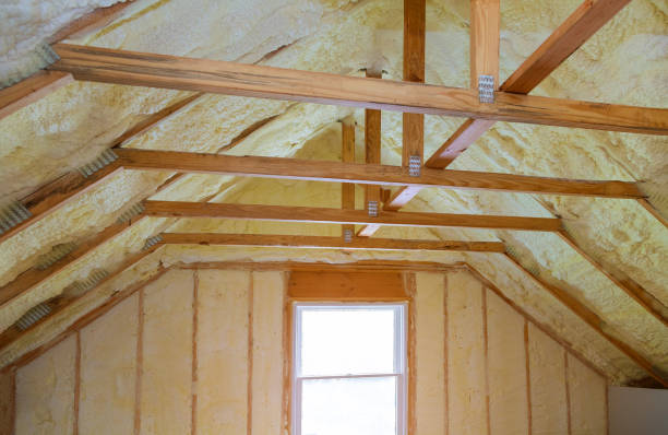 Best Geographic-Specific Insulation Services in South Valley, NM