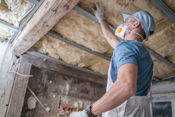 Professional Insulation Contractor in South Valley, NM