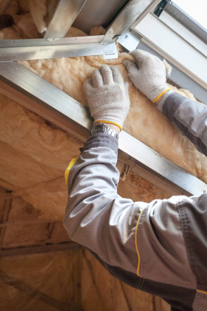 Best Specialized Insulation Services in South Valley, NM