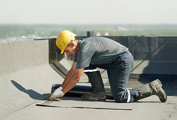 Best Insulation Maintenance and Repair in South Valley, NM